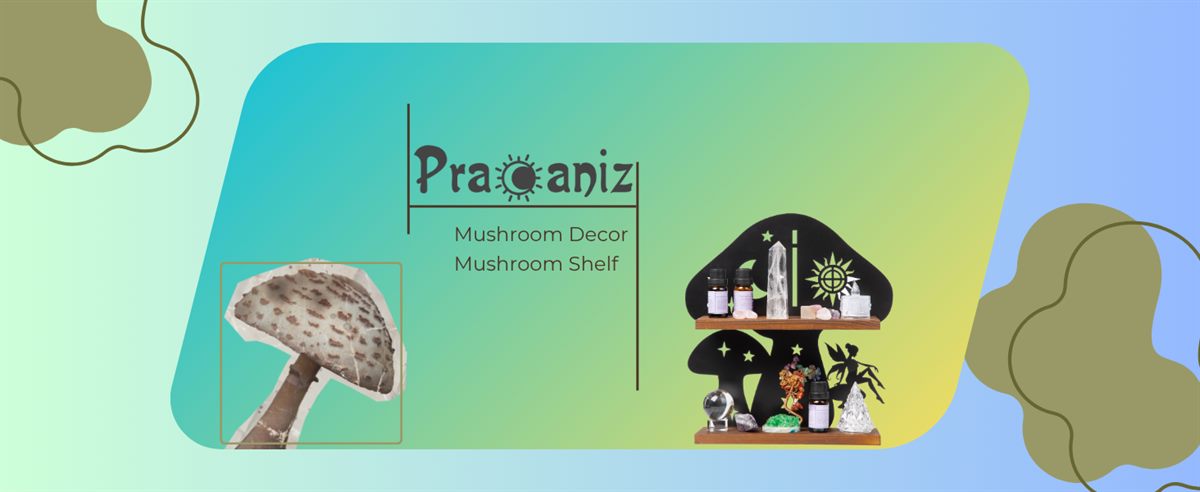 The Pracaniz brand panel — the Pracaniz logo over the words Mushroom Decor and Mushroom Shelf, beside a photograph of a real mushroom and the styled shelf